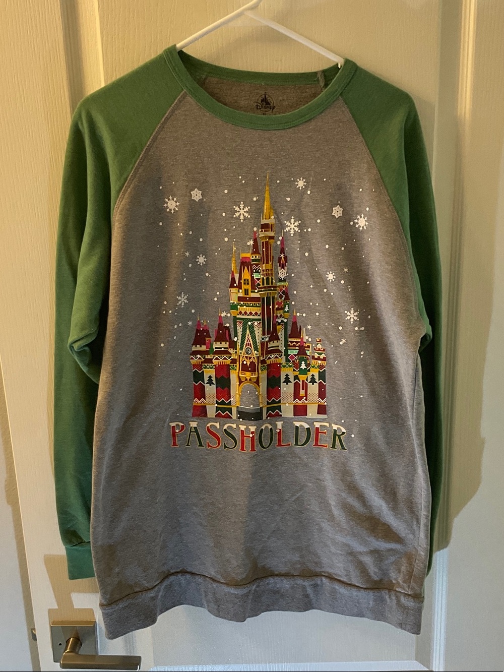 Disney Passholder Castle Sweatshirt Green Gray